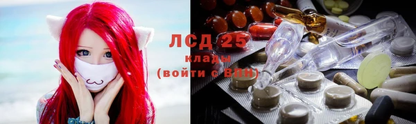 молекула духа Уссурийск
