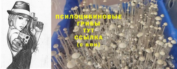 jwh Пролетарск