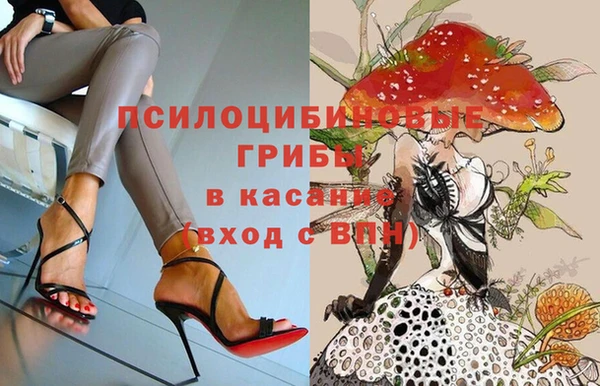 молекула духа Уссурийск